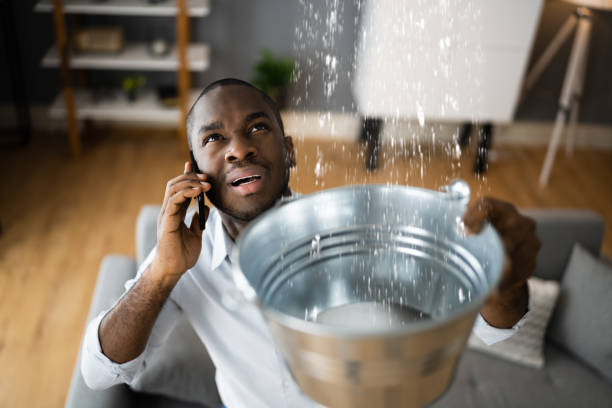 Best Mold removal after water damage  in Garland, TX