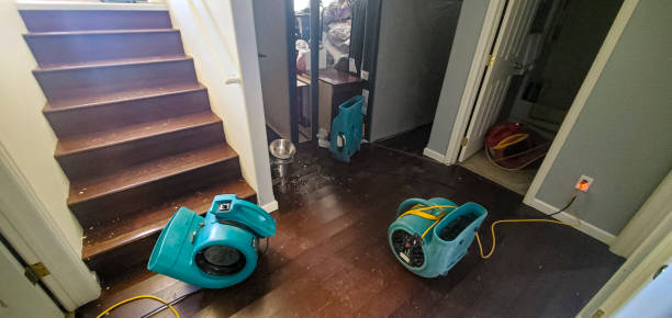  Garland, TX Water damage restoration Pros