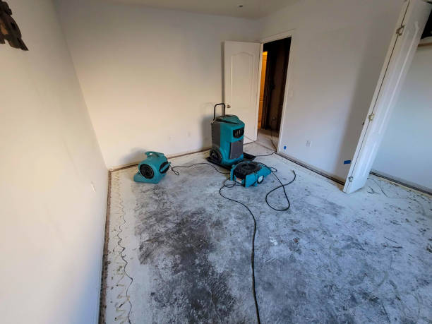 Best Commercial water damage restoration  in Garland, TX