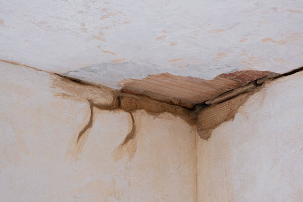 Best Water damage contractors near me  in Garland, TX