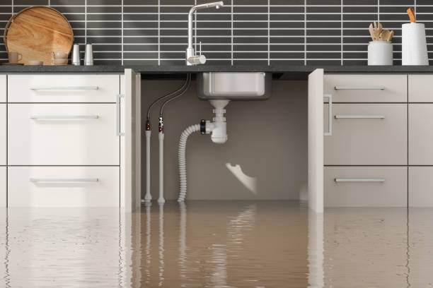 Best Ceiling water damage repair  in Garland, TX