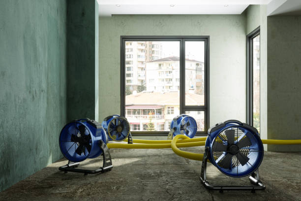 Best 24-hour water damage restoration  in Garland, TX